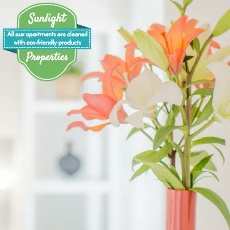 Sunlight - 